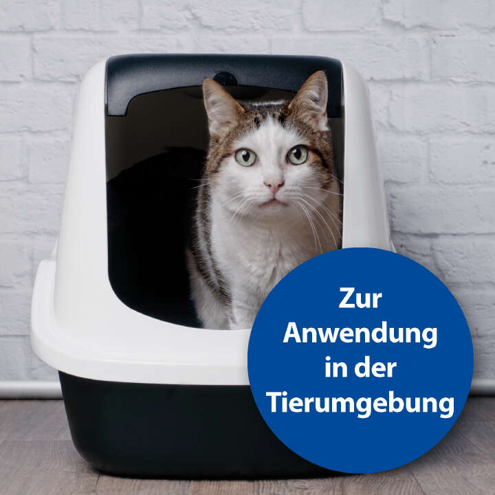 Bactazol Desinfektionsmittel